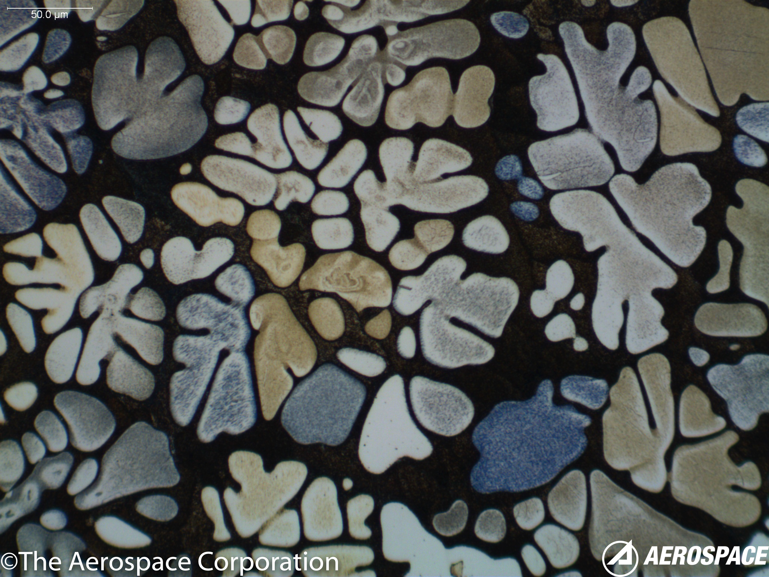 Alloy Micrograph